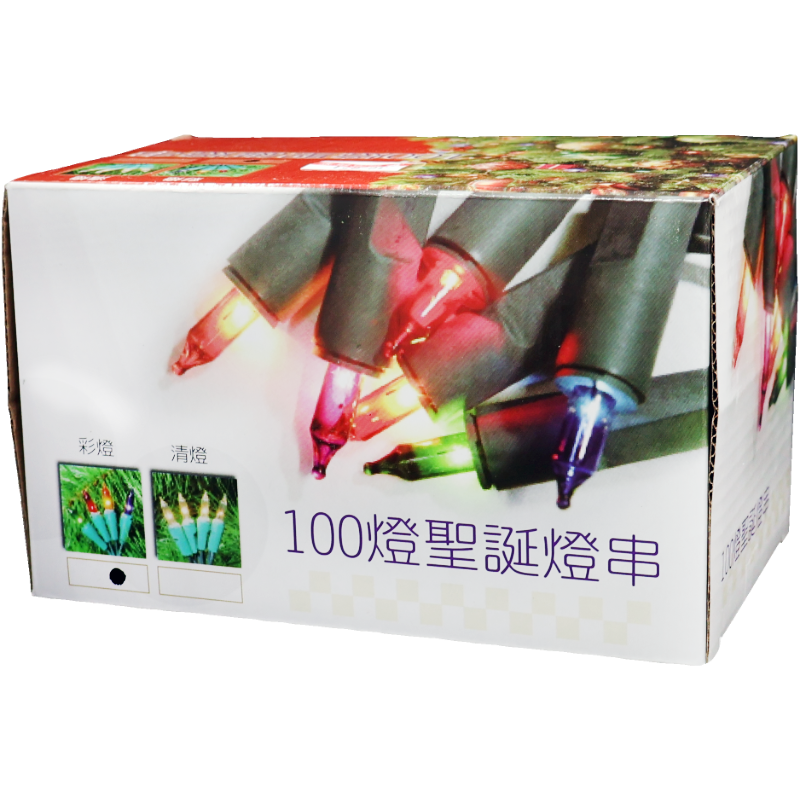 彩色聖誕燈 100燈(盒裝) 980CM
